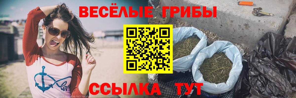 Галлюциногенные грибы Cubensis Ялта