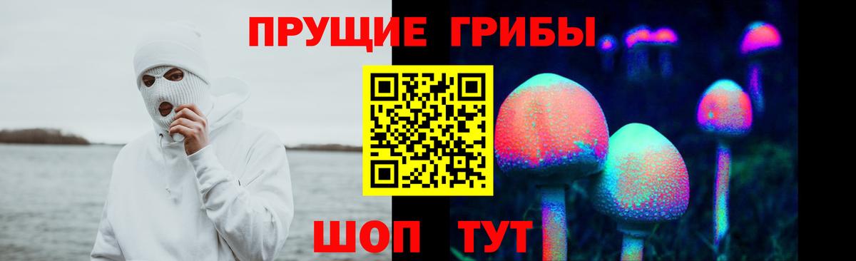 Ялта  цены наркотик  Псилоцибиновые грибы прущие грибы  Вход с VPN  Галлюциногенные грибы GOLDEN TEACHER 